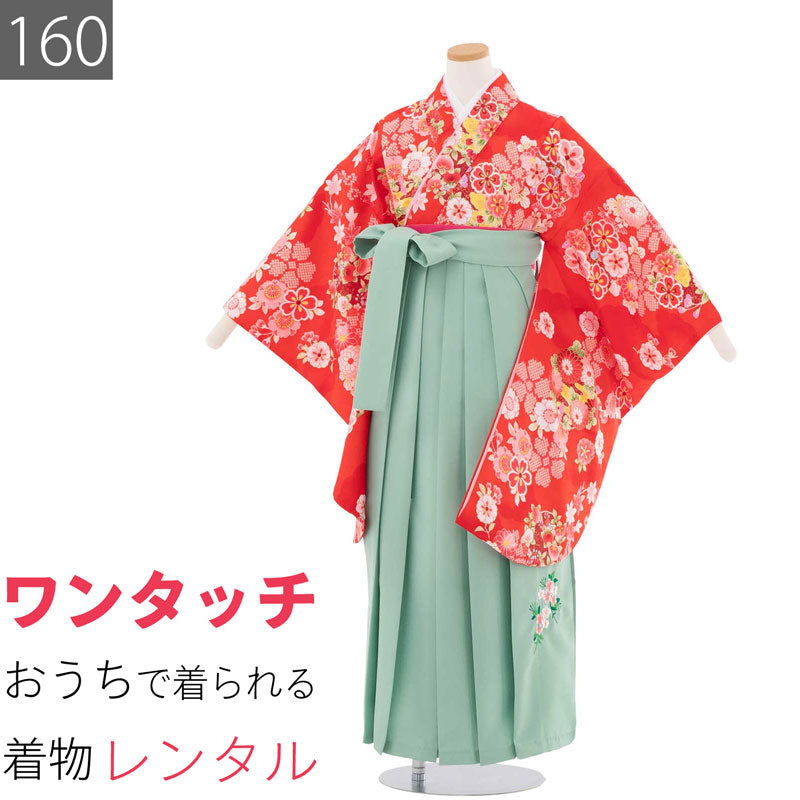 小学校 卒業はかま ワンタッチ 160 赤/袴 若緑 桜 四季花 女子
