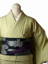 着物レンタル春秋冬用レディース袷江戸小紋セット「Mサイズ」うす緑・ゴマ文和服レンタルの画像