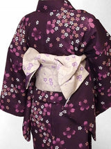 着物レンタル春秋冬用レディース袷小紋セット「XSサイズ」赤紫・小桜の画像の2