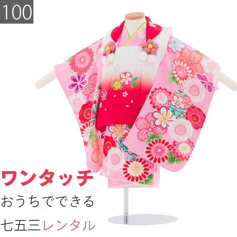七五三3歳100サイズ女の子レンタル着物被布ピンク/赤白菊梅手毬桜の画像