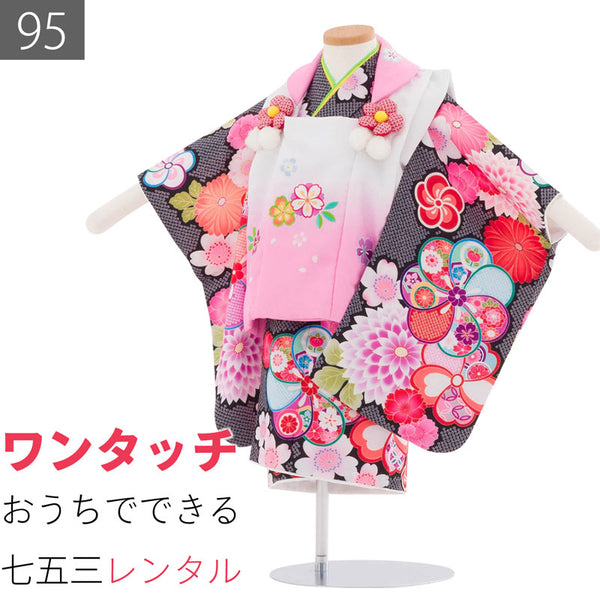 七五三2歳-3歳95サイズ女の子レンタル着物被布黒/白ピンク捻梅菊桜の画像