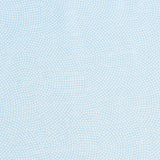 夏物レンタル絽「Sサイズ」水色鮫小紋シルック高級色無地夏用レディース薄物ワンタッチの画像の3